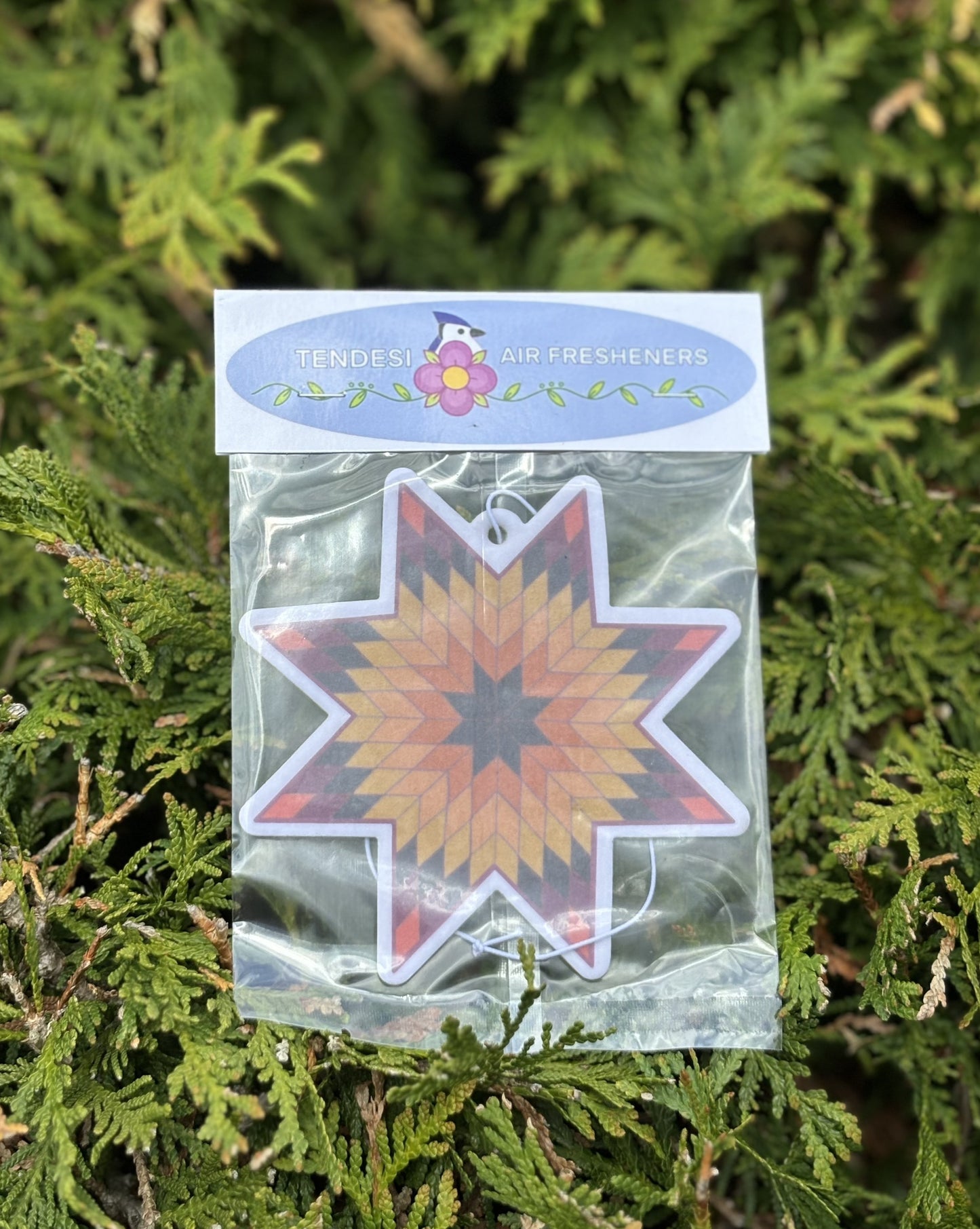 Orange Star Air Freshener - Orange Scent