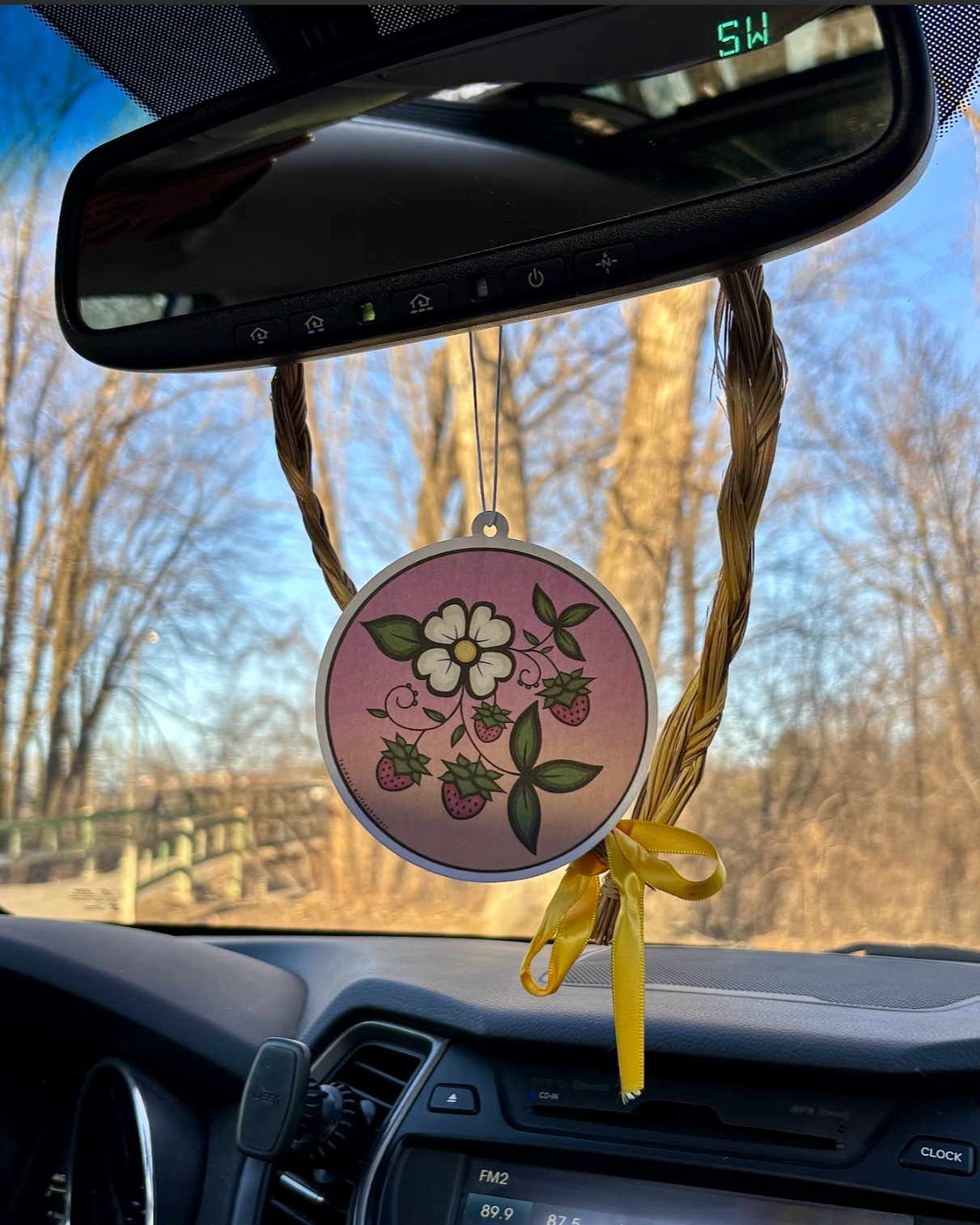 Odeyimin Air Freshener - Strawberry Smoothie Scent